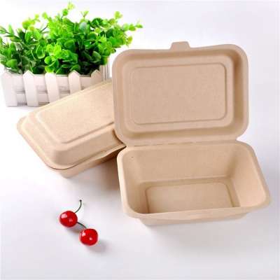 Compostable Biodegradable Sugarcane Paper Custom Disposable Plate