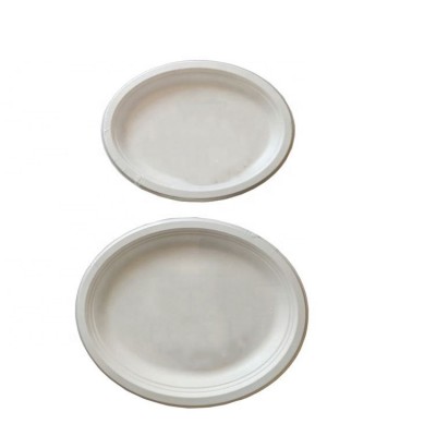 Custom made compostable square paper plate biodegradable square plate of bagasse