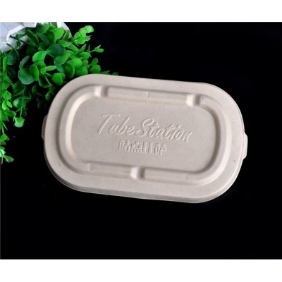 tableware sugarcane bagasse tray food container/Biodegradable Compostable bagasse sugarcane Plates