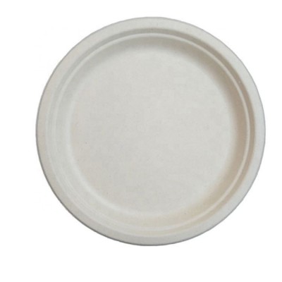 Hot Sale Colorful 100% Food Grade Biodegradable Plastic Kid Dinner Plate